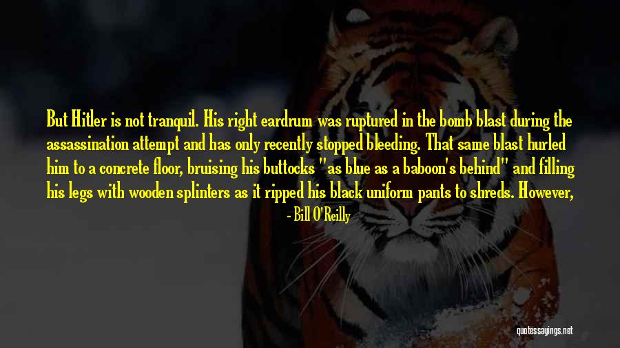 Ruptured Eardrum Quotes By Bill O'Reilly Ruptured Eardrum Quotes By Bill O'Reilly