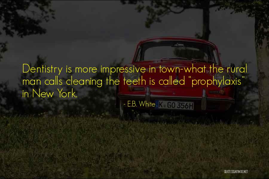 Rural Quotes By E.B. White Rural Quotes By E.B. White