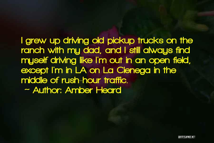 Rush Hour Quotes By Amber Heard