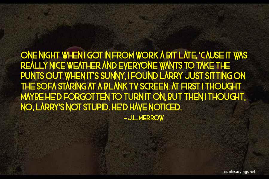 Rush Limbaugh Offensive Quotes By J.L. Merrow
