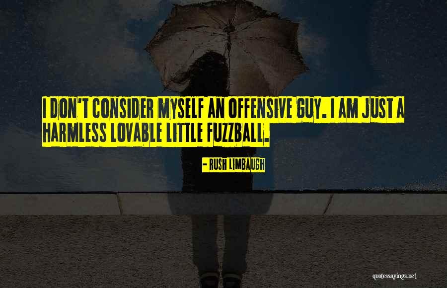 Rush Limbaugh Offensive Quotes By Rush Limbaugh