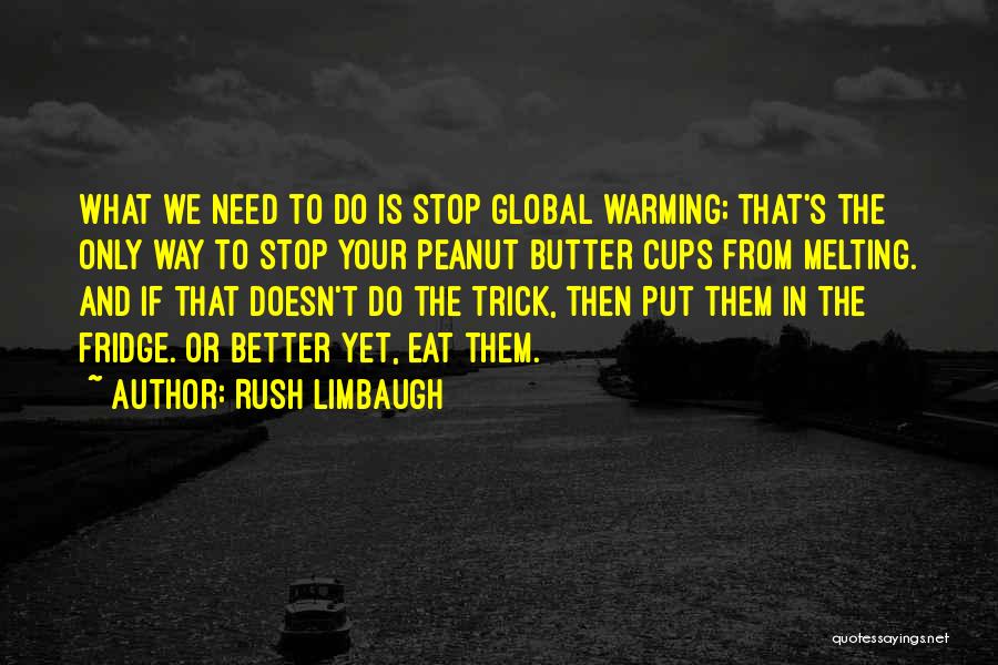 Rush Limbaugh Quotes 2117446