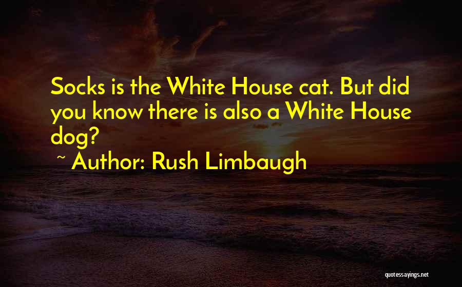 Rush Limbaugh Quotes 395938