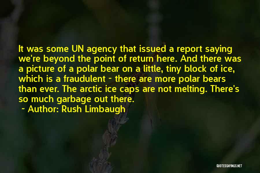 Rush Limbaugh Quotes 80510