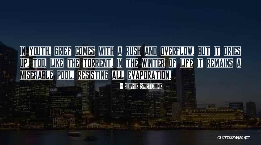 Rush Of Life Quotes By Sophie Swetchine