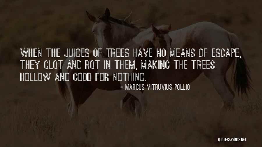 Rushes Plant Quotes By Marcus Vitruvius Pollio Rushes Plant Quotes By Marcus Vitruvius Pollio