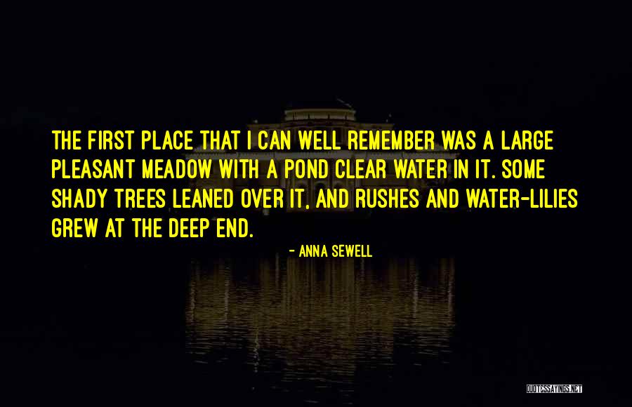 Rushes Quotes By Anna Sewell Rushes Quotes By Anna Sewell