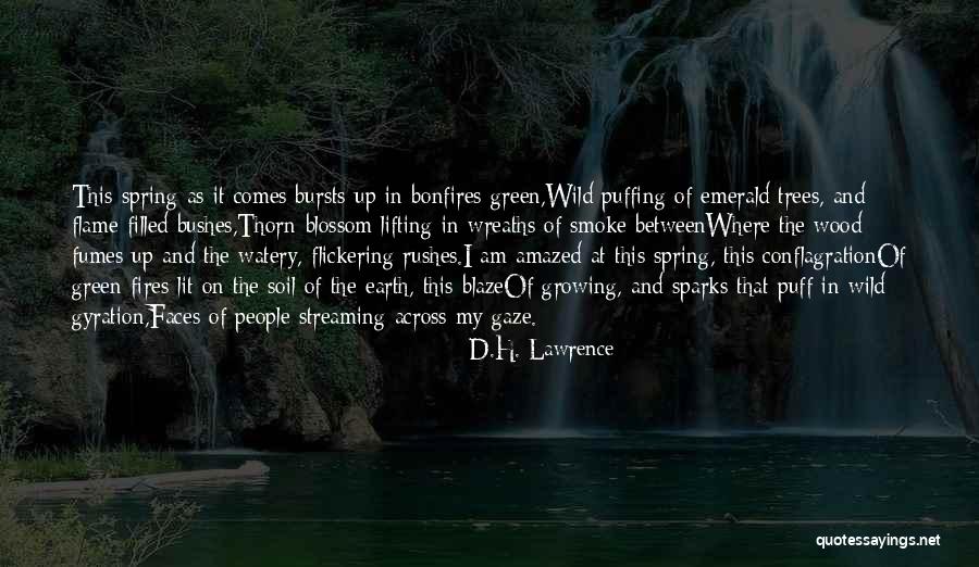 Rushes Quotes By D.H. Lawrence Rushes Quotes By D.H. Lawrence