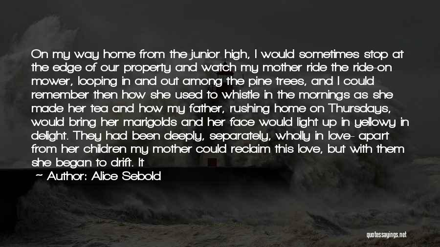 Rushing Love Quotes By Alice Sebold