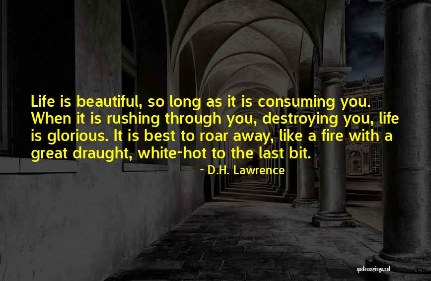 Rushing Through Life Quotes By D.H. Lawrence