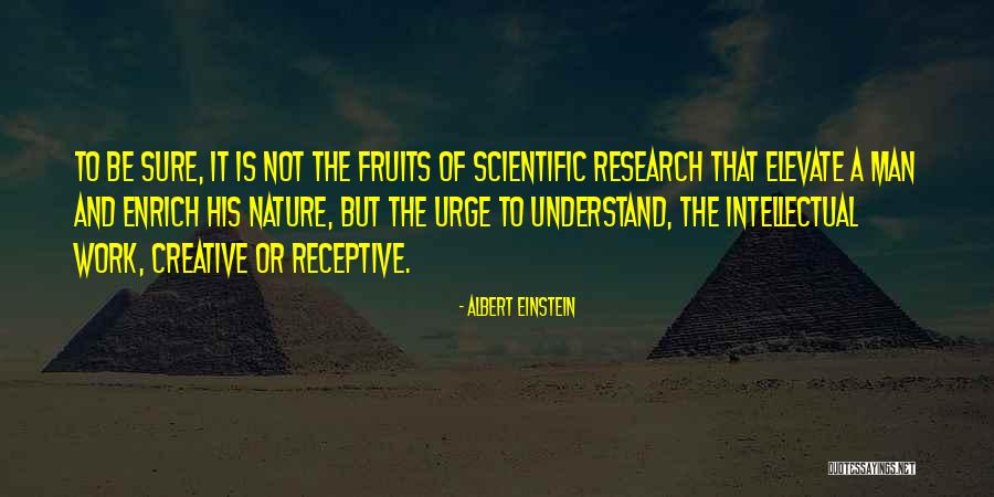 Rusinol Painter Quotes By Albert Einstein Rusinol Painter Quotes By Albert Einstein