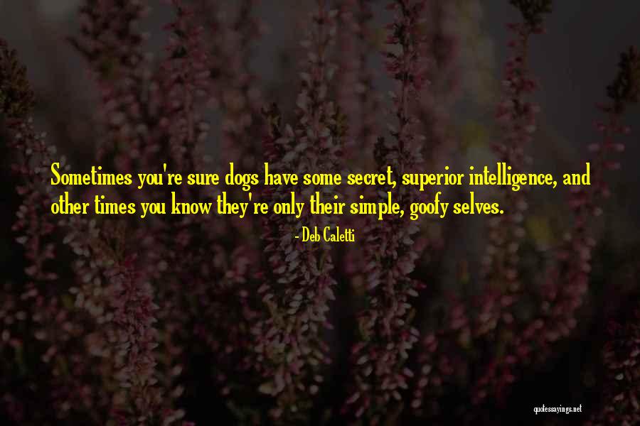 Rusmir Mesihovic Quotes By Deb Caletti Rusmir Mesihovic Quotes By Deb Caletti
