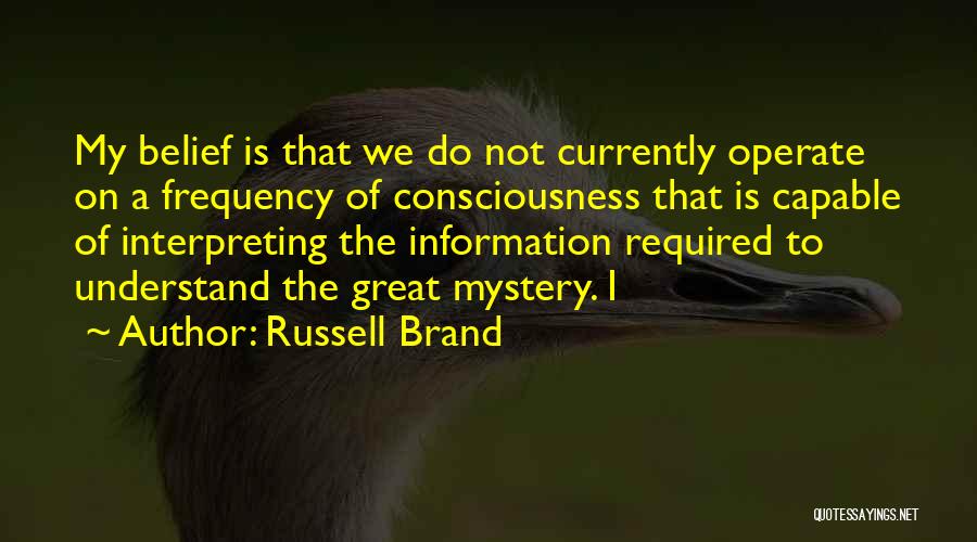 Russell Brand Quotes 273148