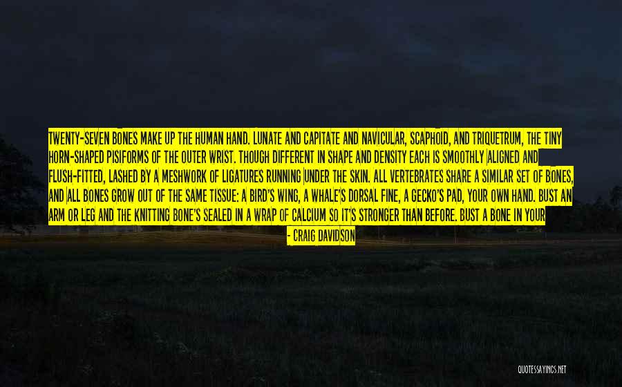 Rust And Bone Quotes By Craig Davidson Rust And Bone Quotes By Craig Davidson
