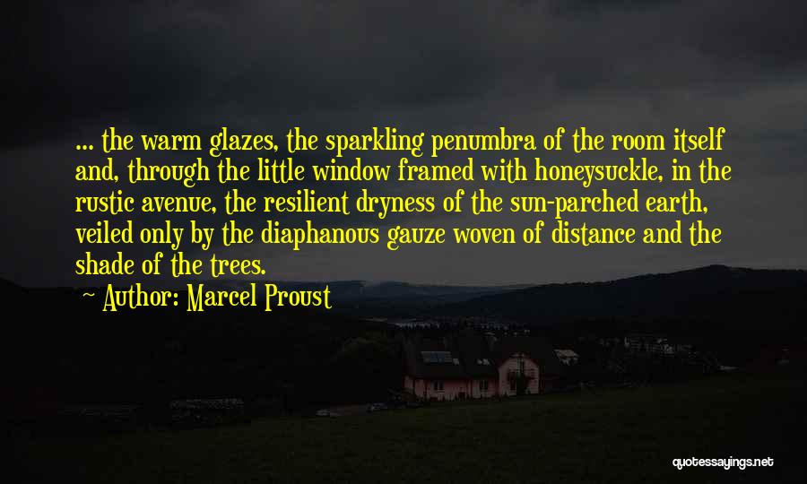 Rustic Framed Quotes By Marcel Proust