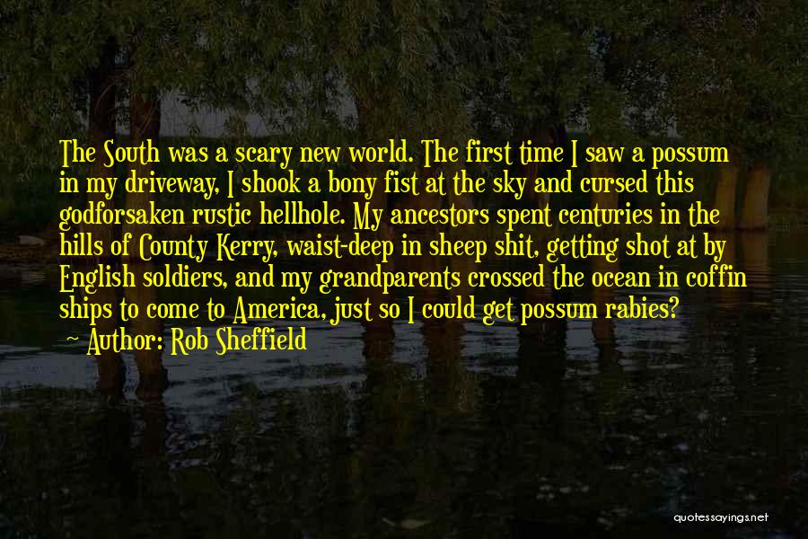 Rustic Quotes By Rob Sheffield