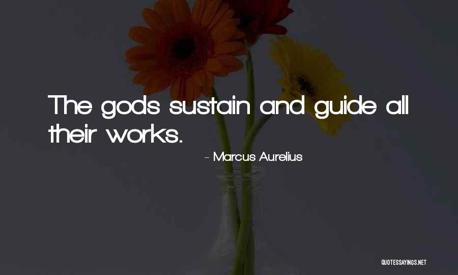 Rusticity Server Quotes By Marcus Aurelius Rusticity Server Quotes By Marcus Aurelius