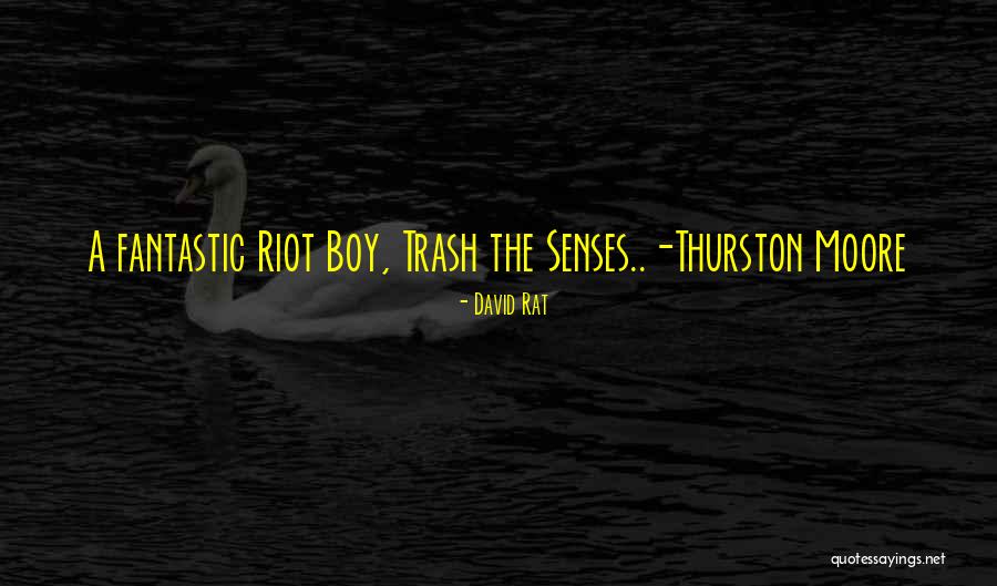 Rustigians Quotes By David Rat