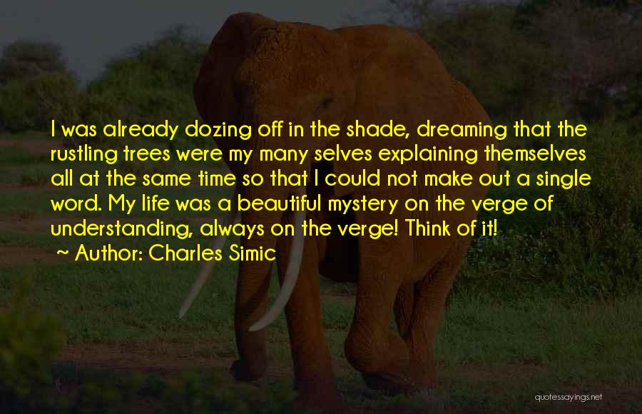 Rustling Quotes By Charles Simic