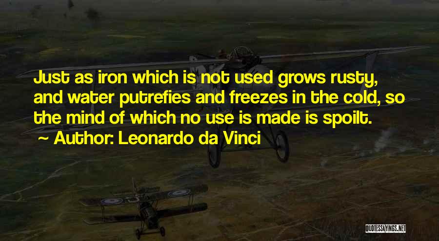 Rusty Quotes By Leonardo Da Vinci