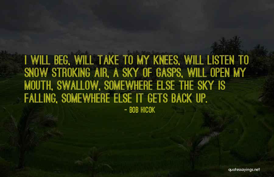 Rusudan Khizanishvili Quotes By Bob Hicok Rusudan Khizanishvili Quotes By Bob Hicok