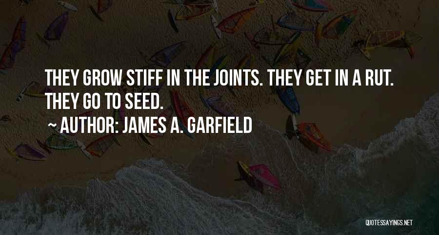 Rut Quotes By James A. Garfield