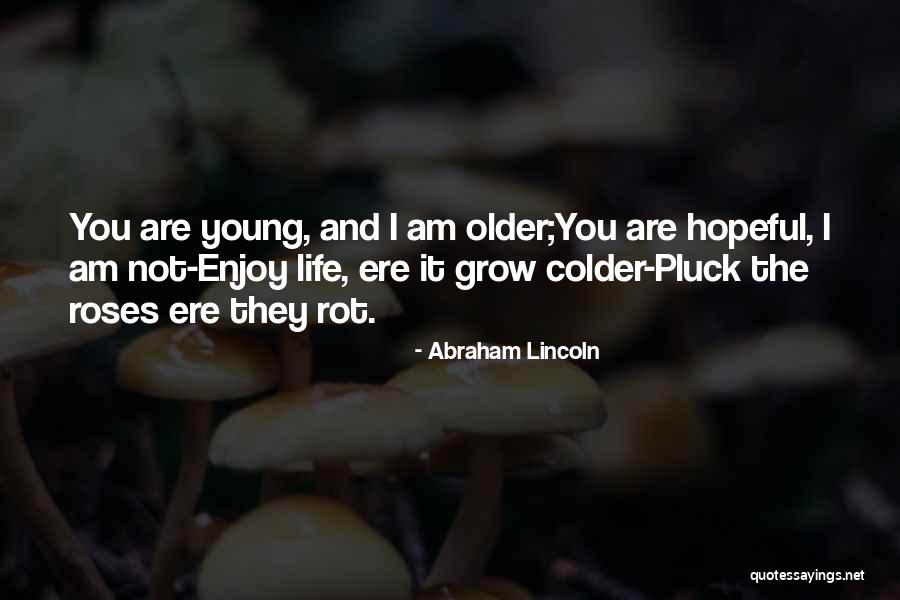Rutgeerts Johan Quotes By Abraham Lincoln Rutgeerts Johan Quotes By Abraham Lincoln