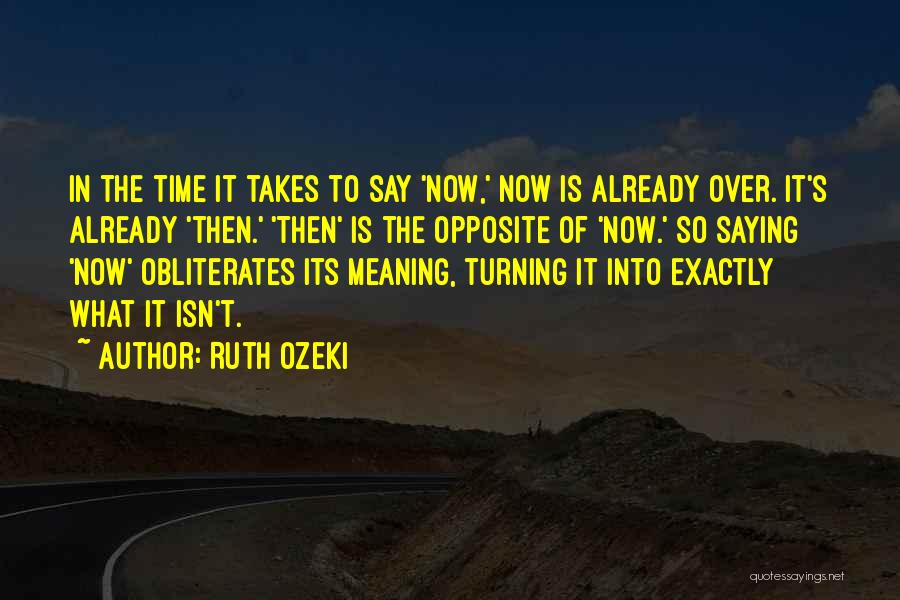 Ruth Ozeki Quotes 1349244