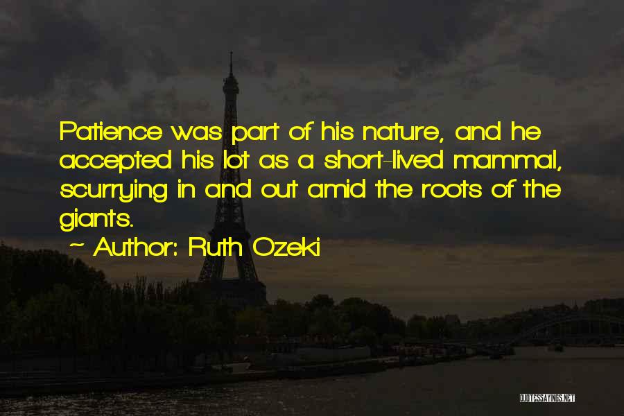 Ruth Ozeki Quotes 249678