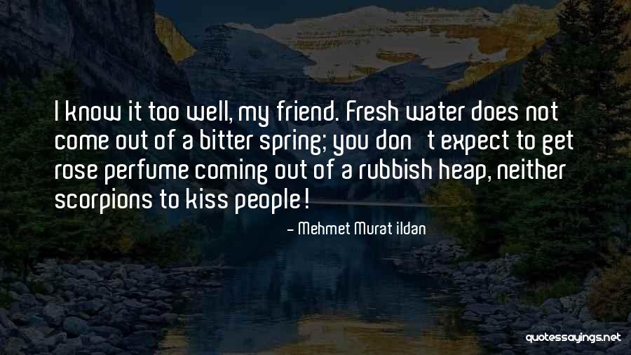 Ruthenium Jewelry Quotes By Mehmet Murat Ildan Ruthenium Jewelry Quotes By Mehmet Murat Ildan