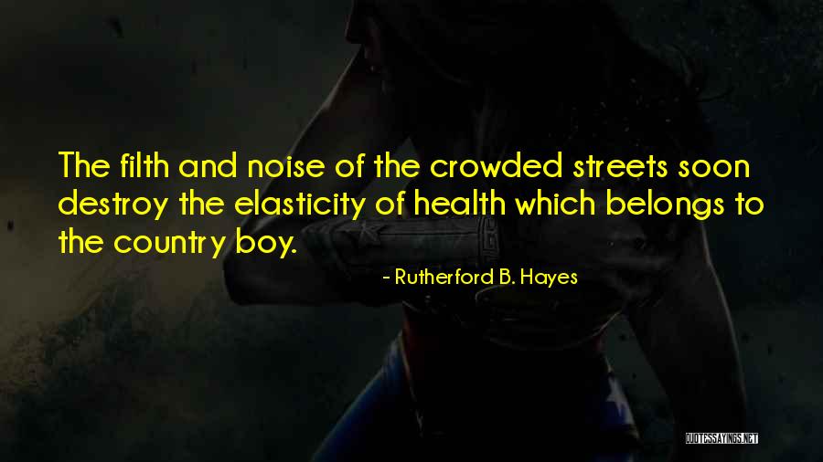 Rutherford B. Hayes Quotes 866070 Rutherford B. Hayes Quotes 866070