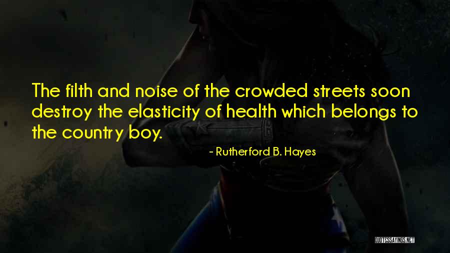 Rutherford B. Hayes Quotes 866070