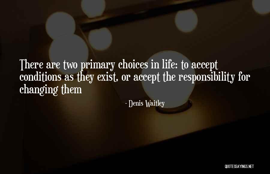 Rutkay Azizs Birthday Quotes By Denis Waitley Rutkay Azizs Birthday Quotes By Denis Waitley