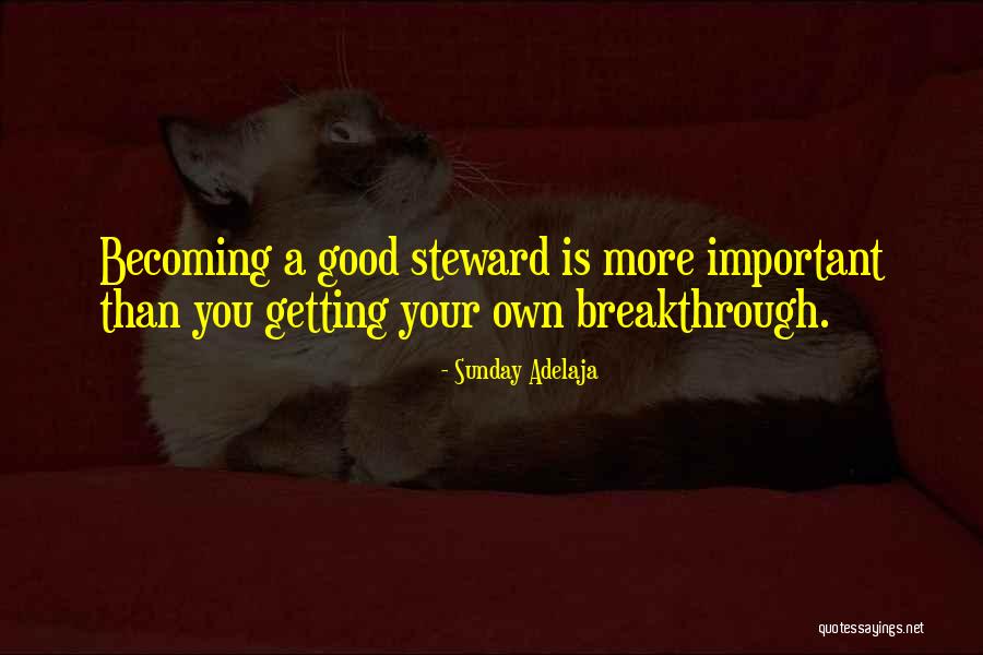 Ruxandra Donose Quotes By Sunday Adelaja Ruxandra Donose Quotes By Sunday Adelaja