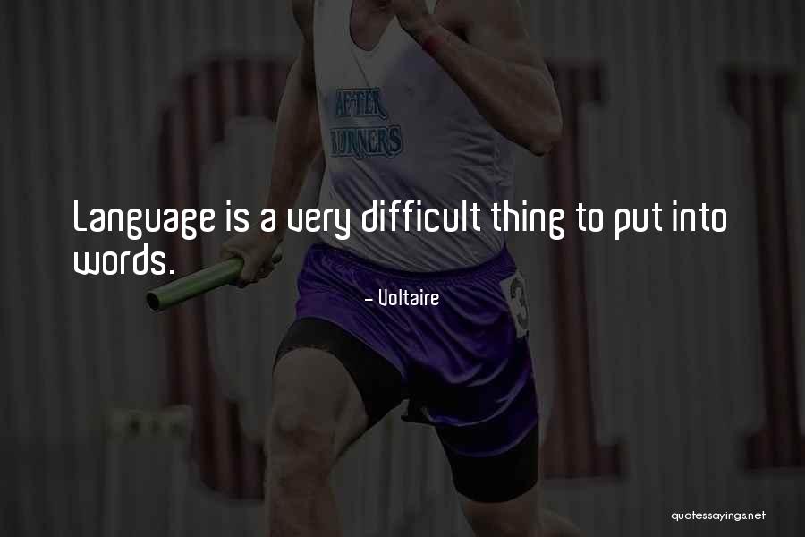 Rvaindy Quotes By Voltaire Rvaindy Quotes By Voltaire