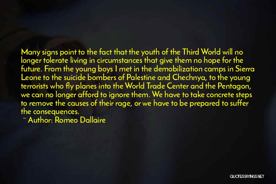 Rwanda Quotes By Romeo Dallaire