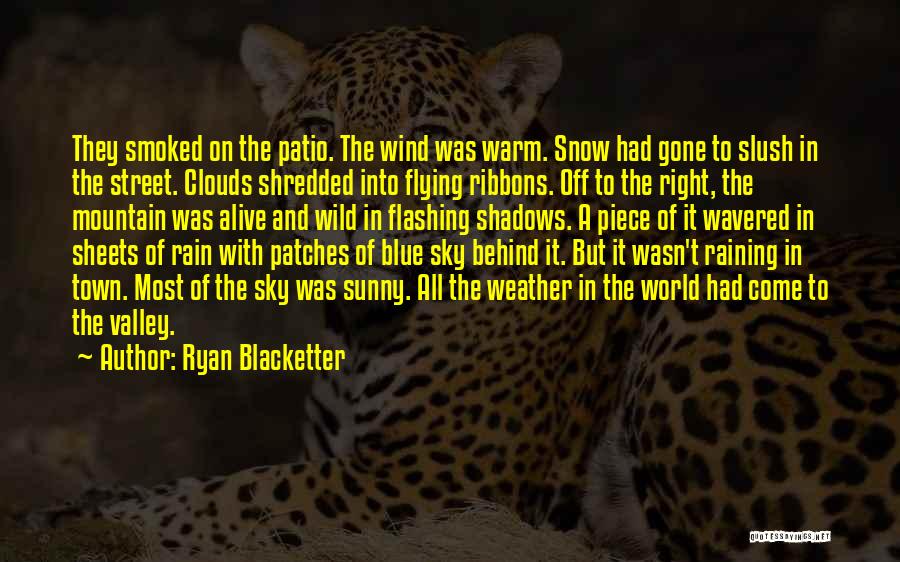 Ryan Blacketter Quotes 1799958