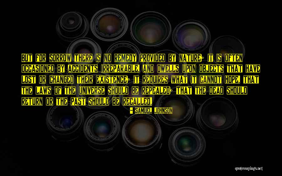 Ryan Ferreras Quotes By Samuel Johnson Ryan Ferreras Quotes By Samuel Johnson
