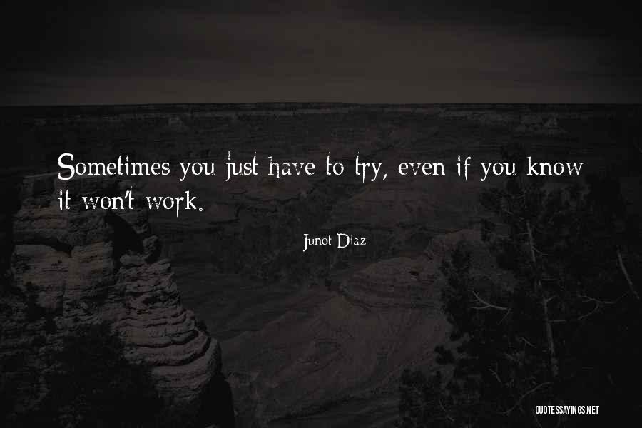 Ryan Mcpoyle Quotes By Junot Diaz Ryan Mcpoyle Quotes By Junot Diaz
