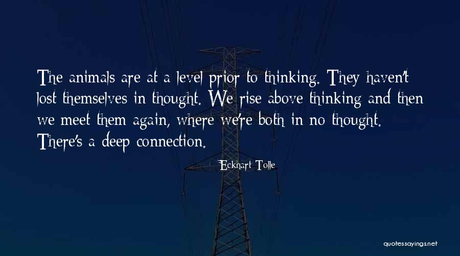 Ryan Oc Quotes By Eckhart Tolle Ryan Oc Quotes By Eckhart Tolle