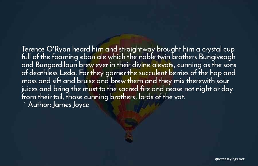 Ryan O'reilly Quotes By James Joyce