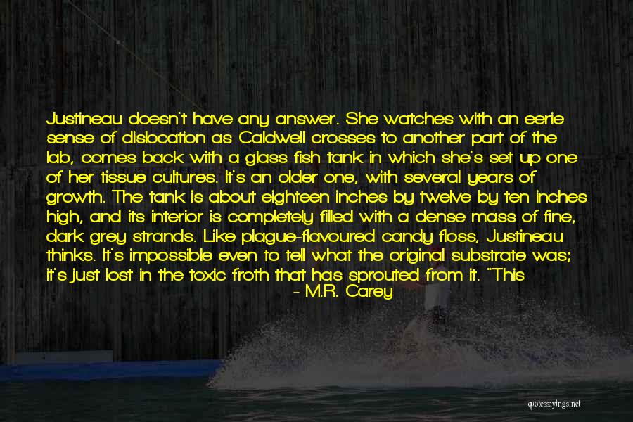 Ryanne Mckay Quotes By M.R. Carey Ryanne Mckay Quotes By M.R. Carey