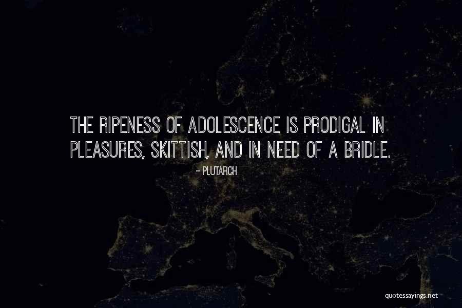 Rybicki Tours Quotes By Plutarch Rybicki Tours Quotes By Plutarch