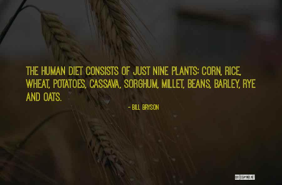 Rye Quotes By Bill Bryson Rye Quotes By Bill Bryson