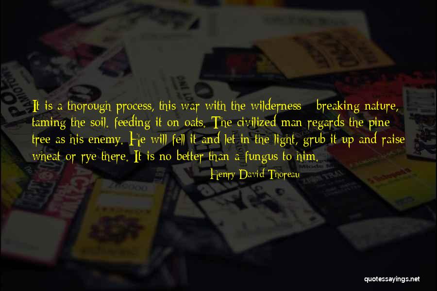 Rye Quotes By Henry David Thoreau Rye Quotes By Henry David Thoreau