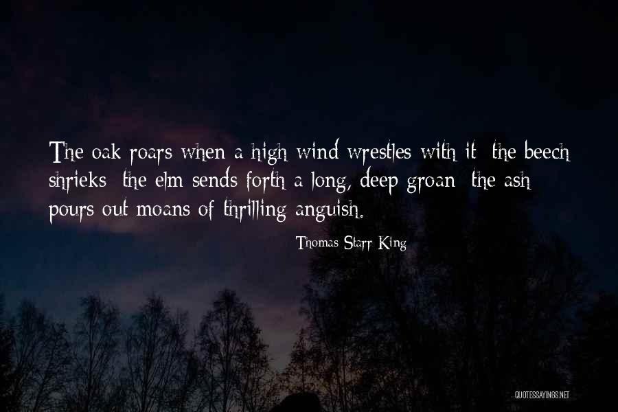 Ryham Petit Quotes By Thomas Starr King Ryham Petit Quotes By Thomas Starr King