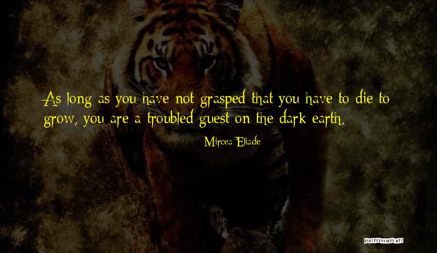 Rylee Thomas Quotes By Mircea Eliade Rylee Thomas Quotes By Mircea Eliade