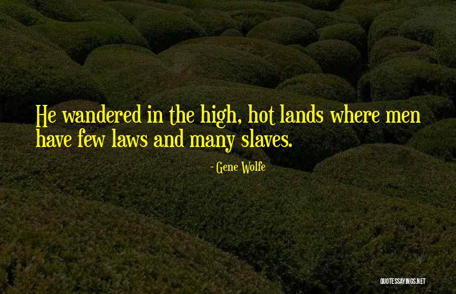 Ryler Quotes By Gene Wolfe Ryler Quotes By Gene Wolfe