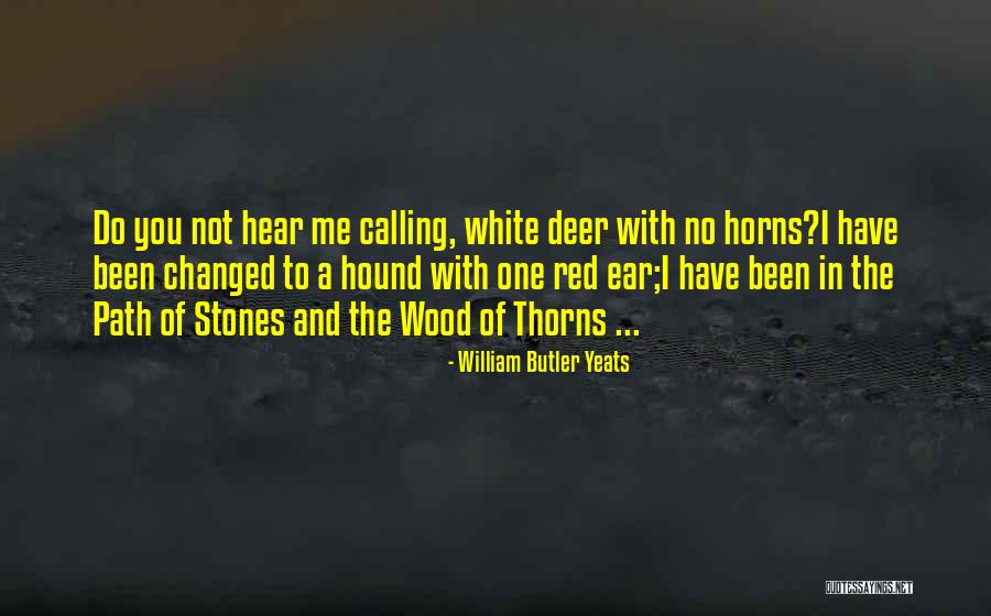 Rynase Quotes By William Butler Yeats Rynase Quotes By William Butler Yeats