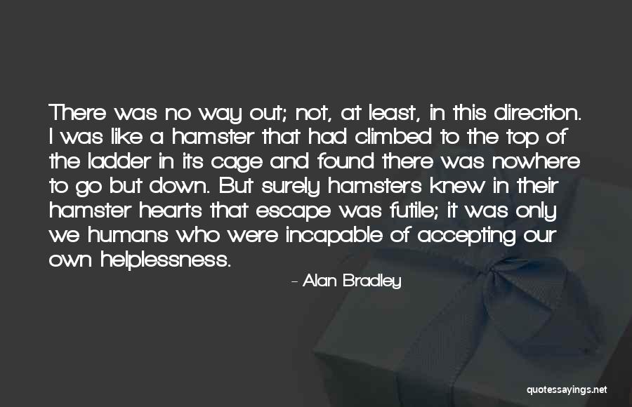 Ryodan Bleach Quotes By Alan Bradley Ryodan Bleach Quotes By Alan Bradley